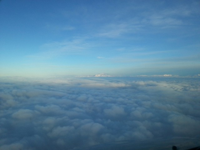 sized_20130113_194201.JPG