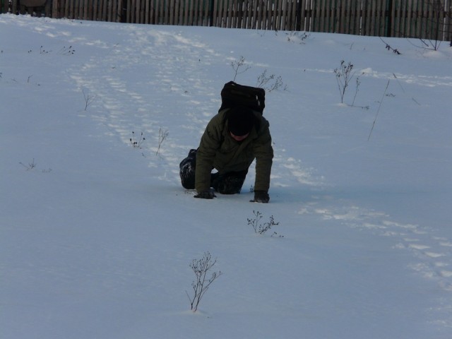 На карачках