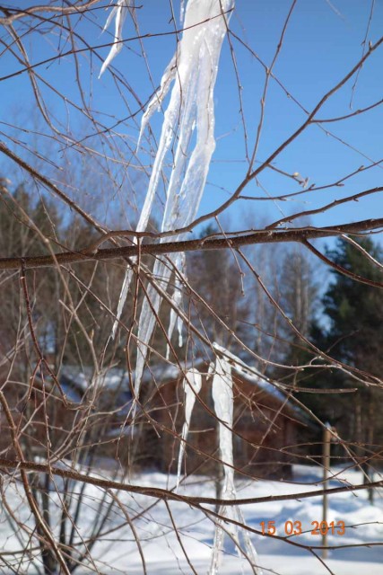 untitled-00731.JPG