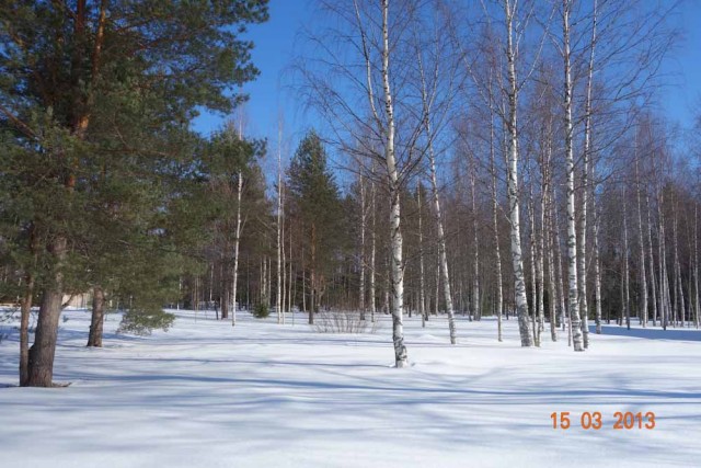 untitled-00703.JPG
