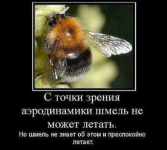 ImageUploadedByTapatalk 21364360059.008707.jpg