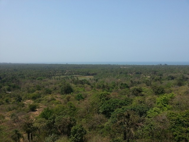 sized_20130423_092717.JPG