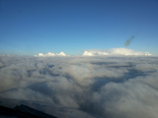 sized_20130514_053806.JPG