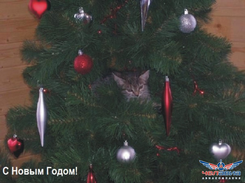 Старый Новый Год.jpg