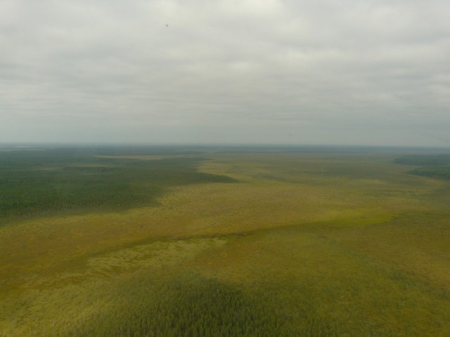 P1100591.JPG