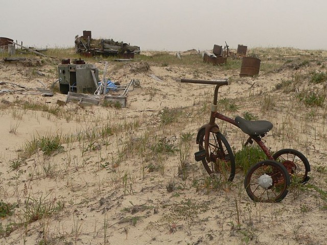 35620351.jpg