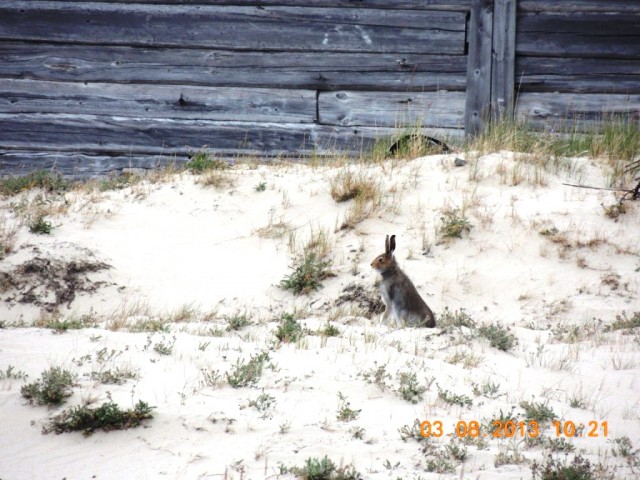 DSCN4566.JPG