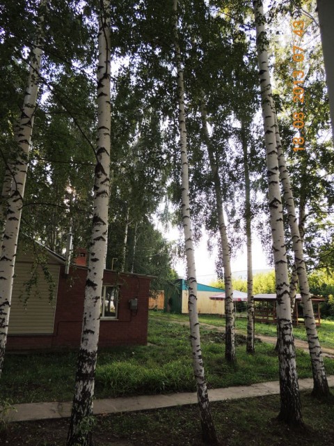 DSCN4781.JPG
