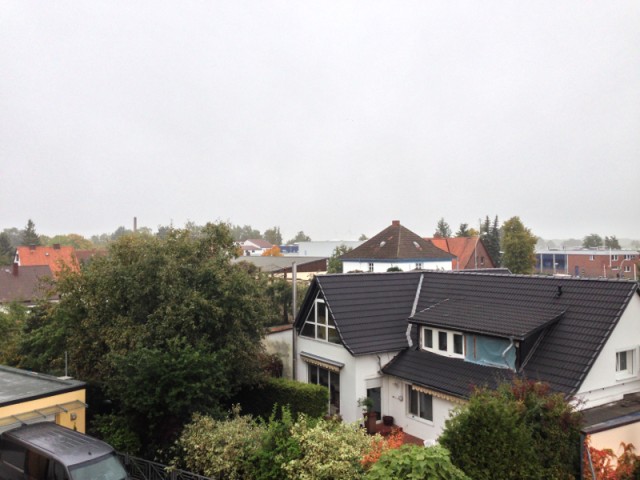 image-3607528839.jpg