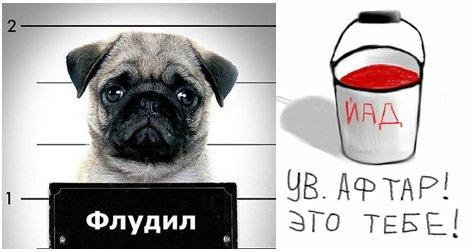 ImageUploadedByTapatalk1390314216.185532.jpg