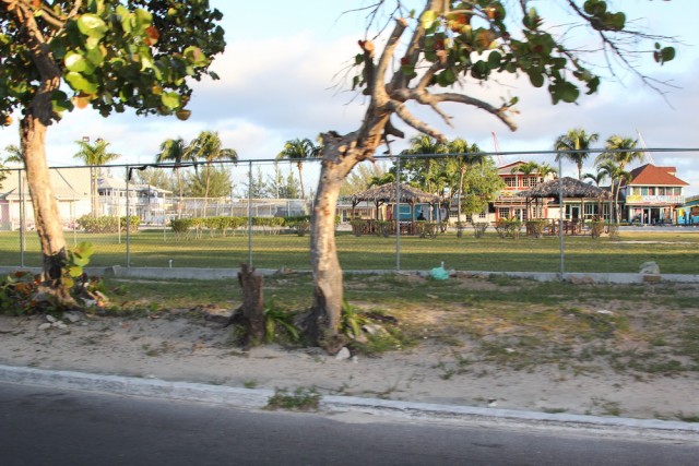 IMG_9358_новый размер.JPG (327.54 КБ) 11950 просмотров IMG_9358_новый размер.JPG