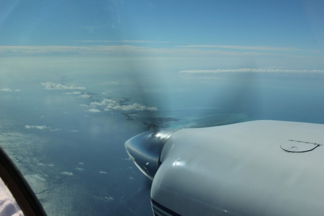 IMG_9397_новый размер.JPG (116.64 КБ) 11950 просмотров IMG_9397_новый размер.JPG