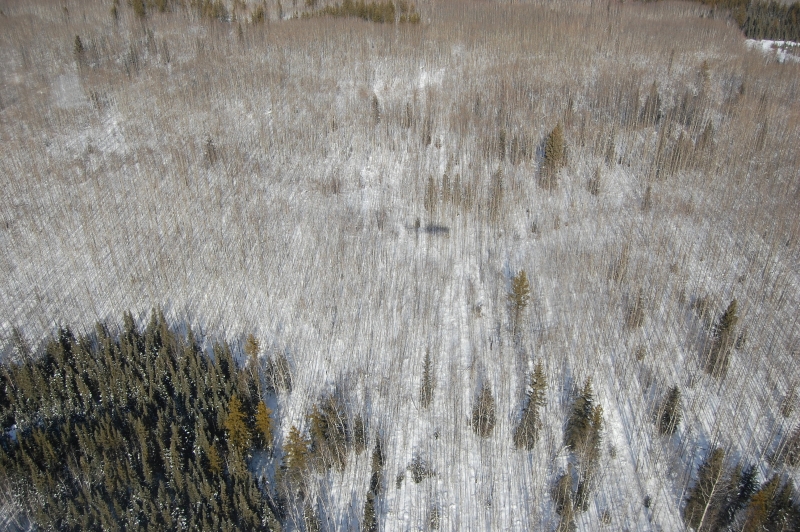 DSC_0076.jpg