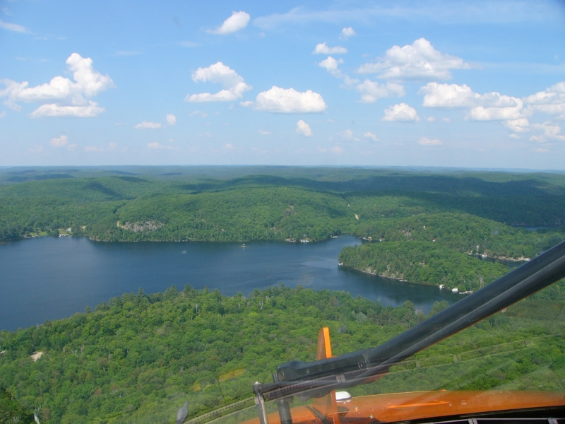 Algonquin park, Ontario