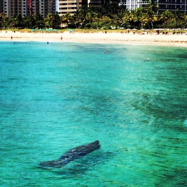 9JyOVrHoka0.jpg (161.92 КБ) 11244 просмотра 9JyOVrHoka0.jpg