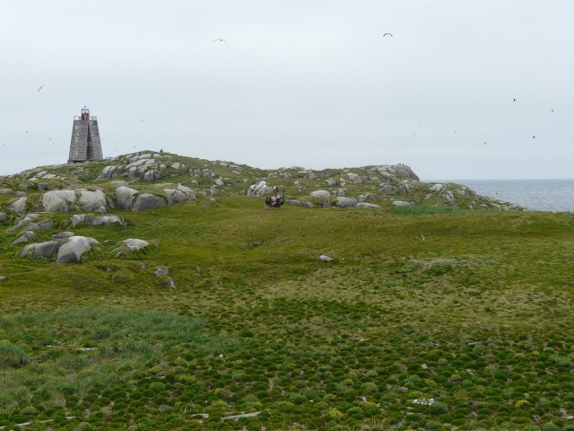 P1100964.JPG