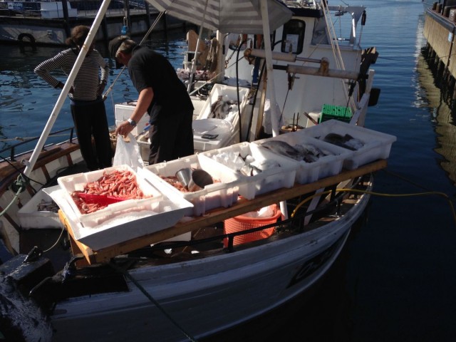 Рыбный мини-базарчик прямо с рыболовного судна