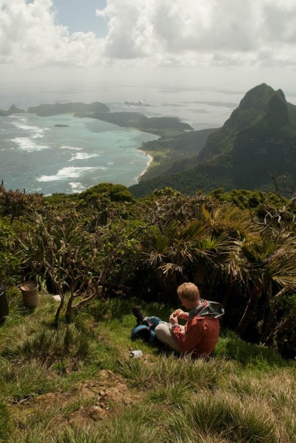 40633571.jpg (144.86 КБ) 7182 просмотра Остров Лорд Хау