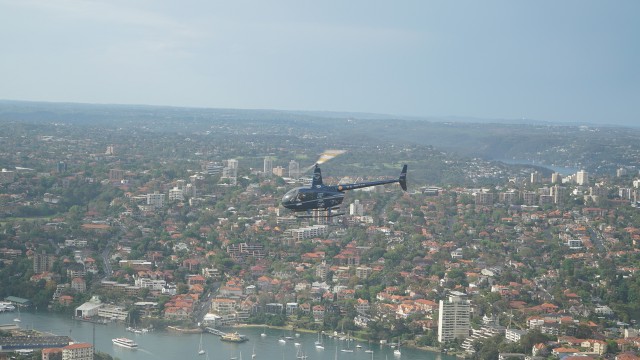 Sidney_3.jpg