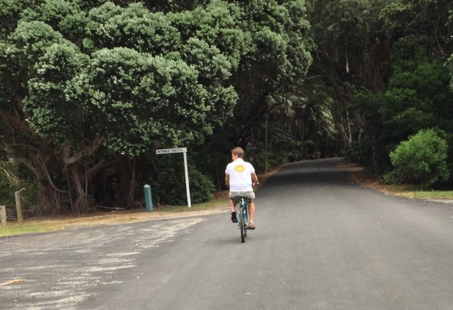 Bikes_3.jpg
