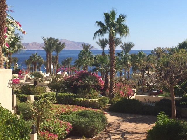 Sharm_1.JPG