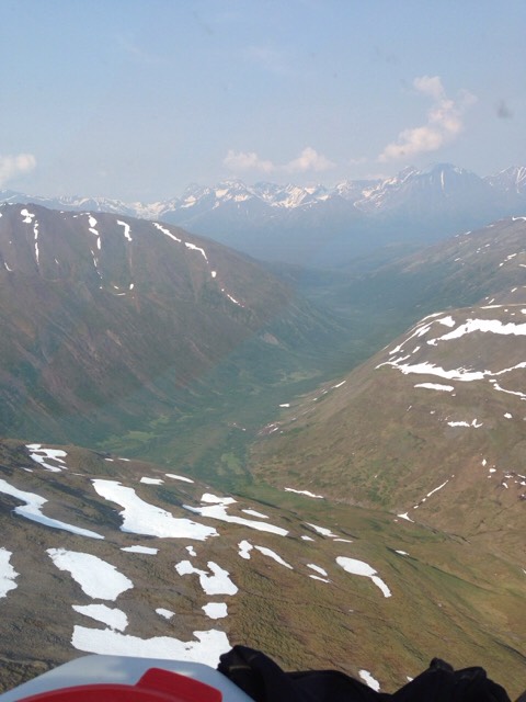 ImageUploadedByTapatalkHD1435154532.026283.jpg
