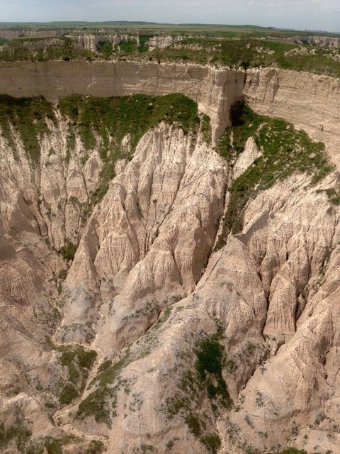 ImageUploadedByTapatalkHD1436418836.554760.jpg