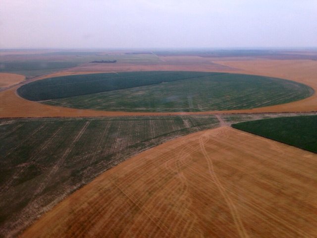 ImageUploadedByTapatalkHD1436420005.221368.jpg
