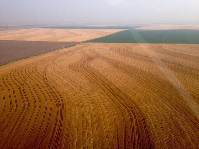 ImageUploadedByTapatalkHD1436420072.243706.jpg