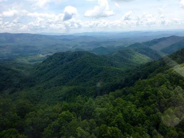 ImageUploadedByTapatalkHD1437787873.198778.jpg