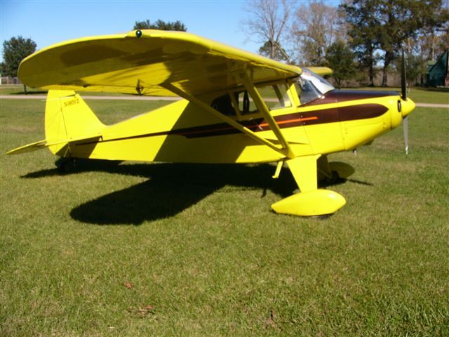 155829-colt_3.jpg