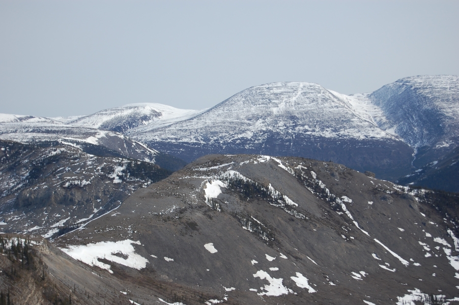 DSC_0120.jpg