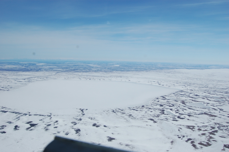 DSC_0252.jpg