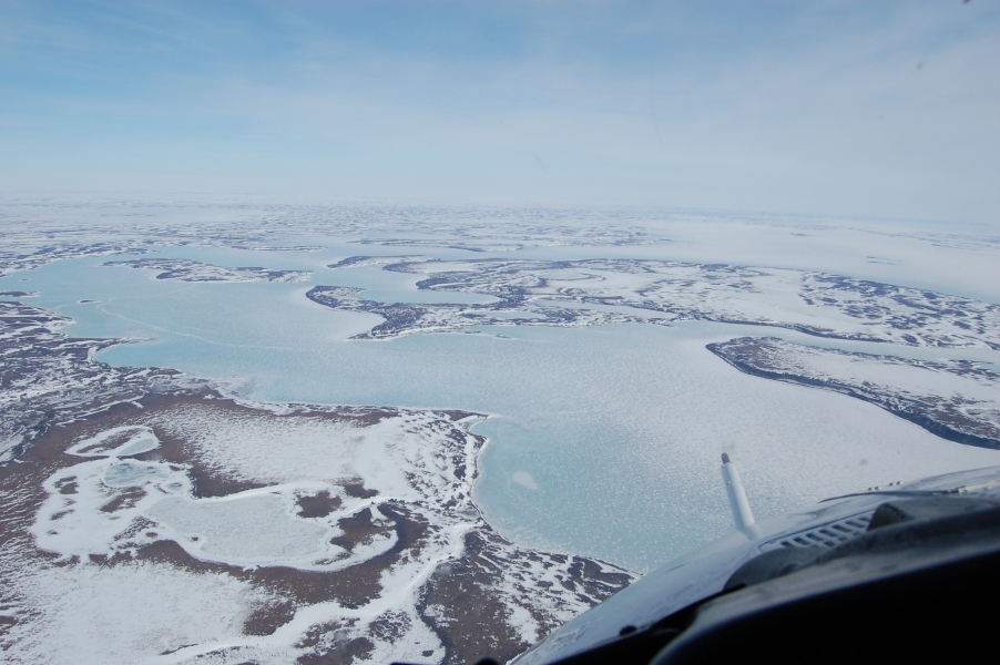 DSC_0258.jpg