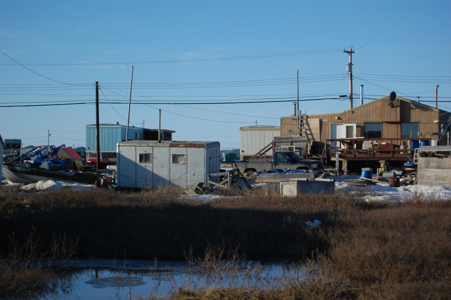DSC_0274.jpg