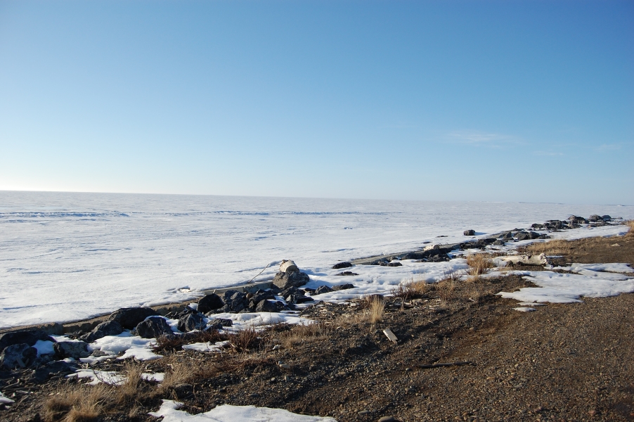 DSC_0308.jpg