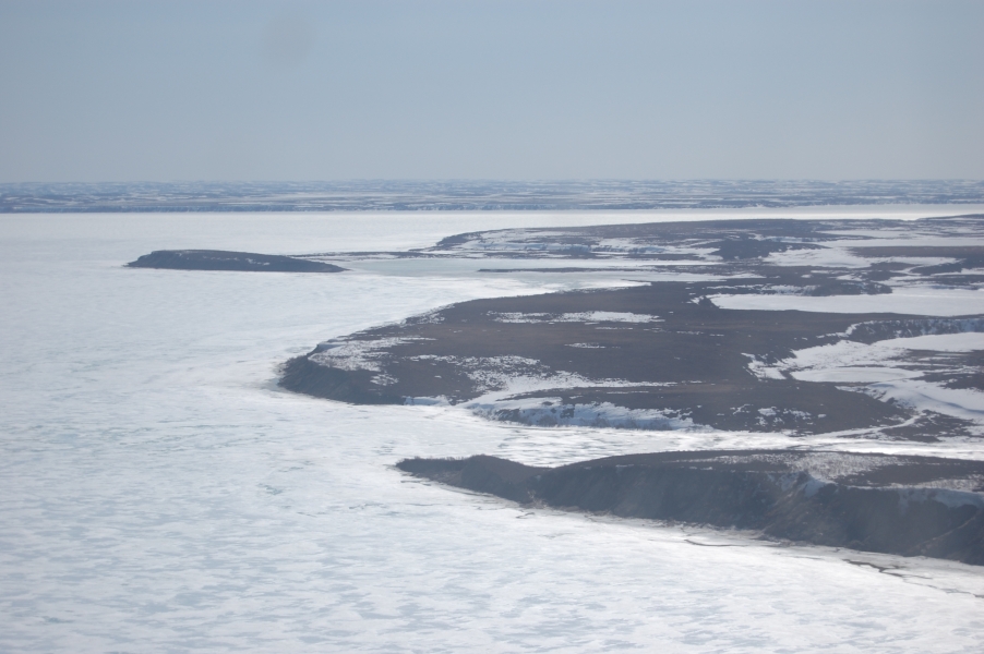 DSC_0578.jpg