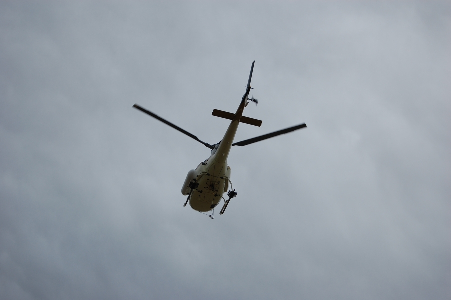 DSC_0807.jpg