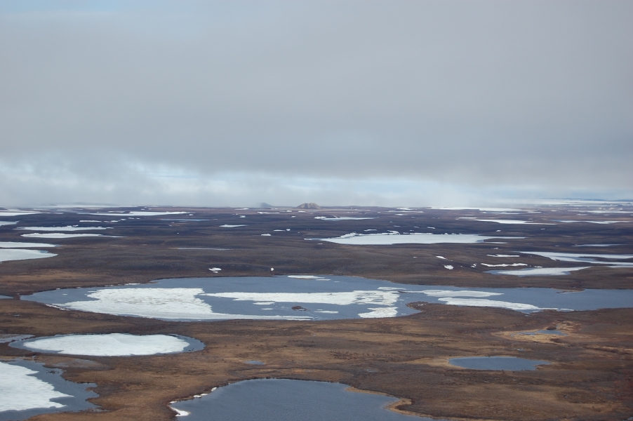 DSC_0899.jpg