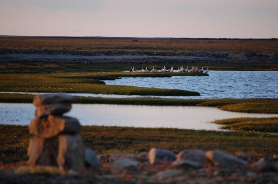 DSC_1955.jpg