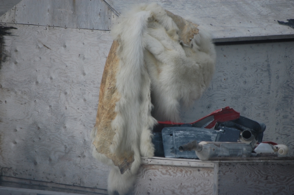 DSC_2113.jpg