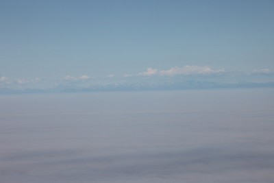 IMG_2339.jpg