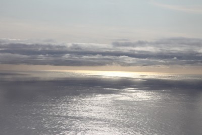 IMG_3299.jpg