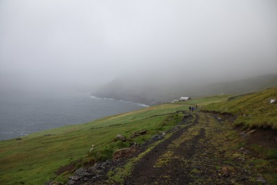 IMG_3447.jpg