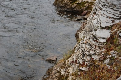 DSC_2587.jpg