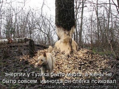 x_388dc223.jpg